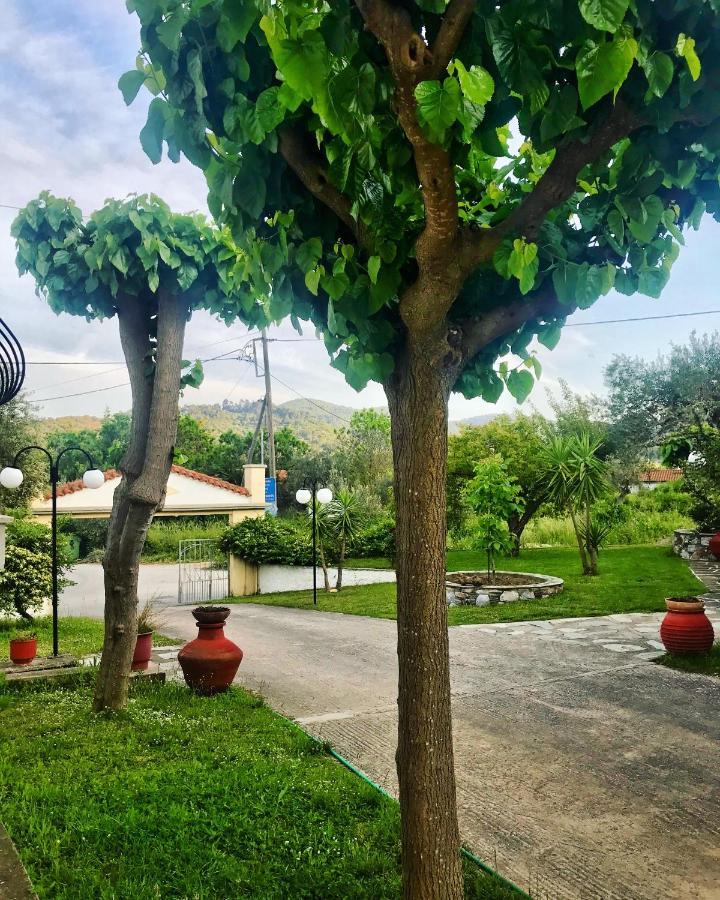 Pansion Episkopi Studios Szkópelosz Kültér fotó