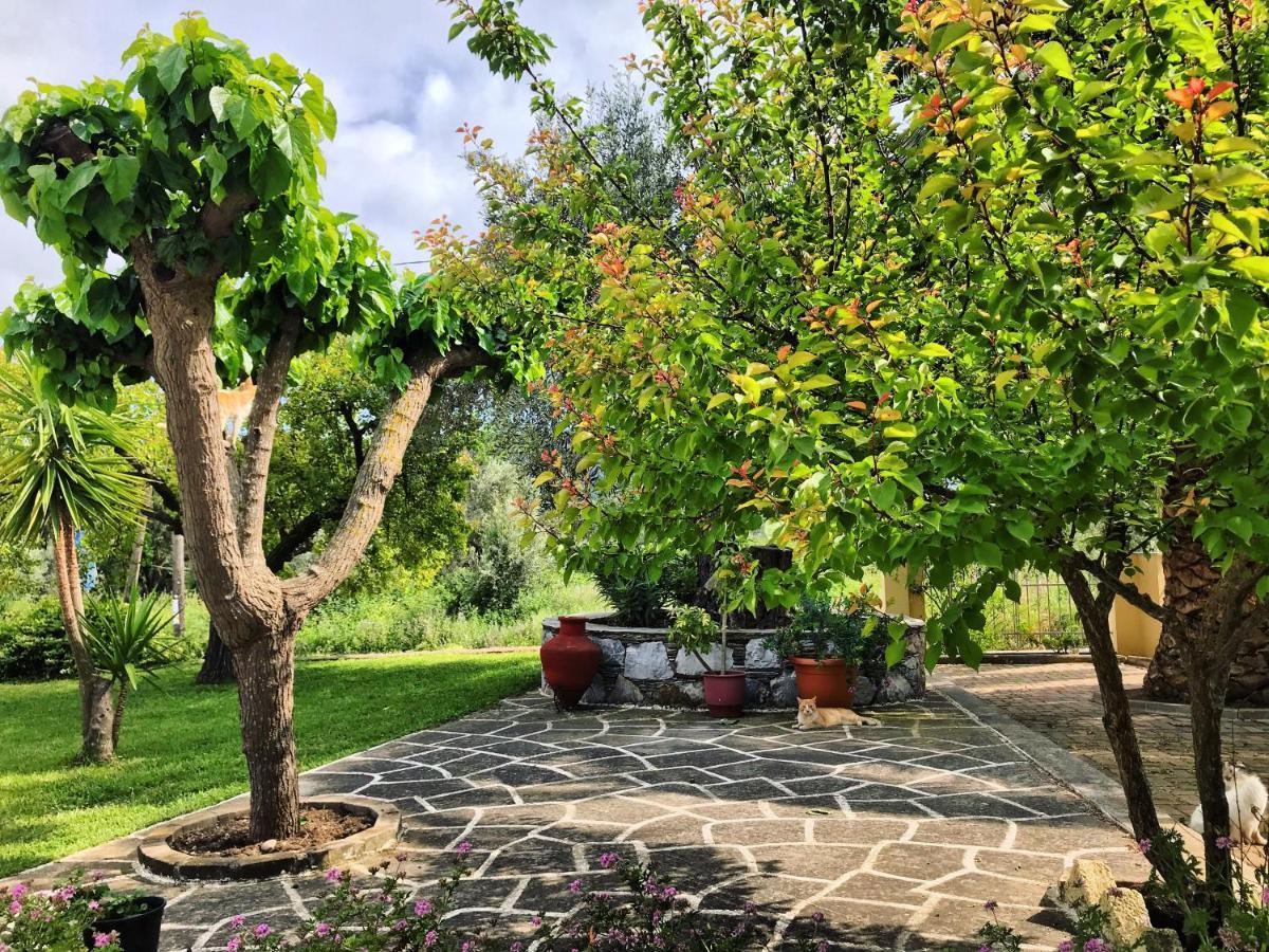 Pansion Episkopi Studios Szkópelosz Kültér fotó