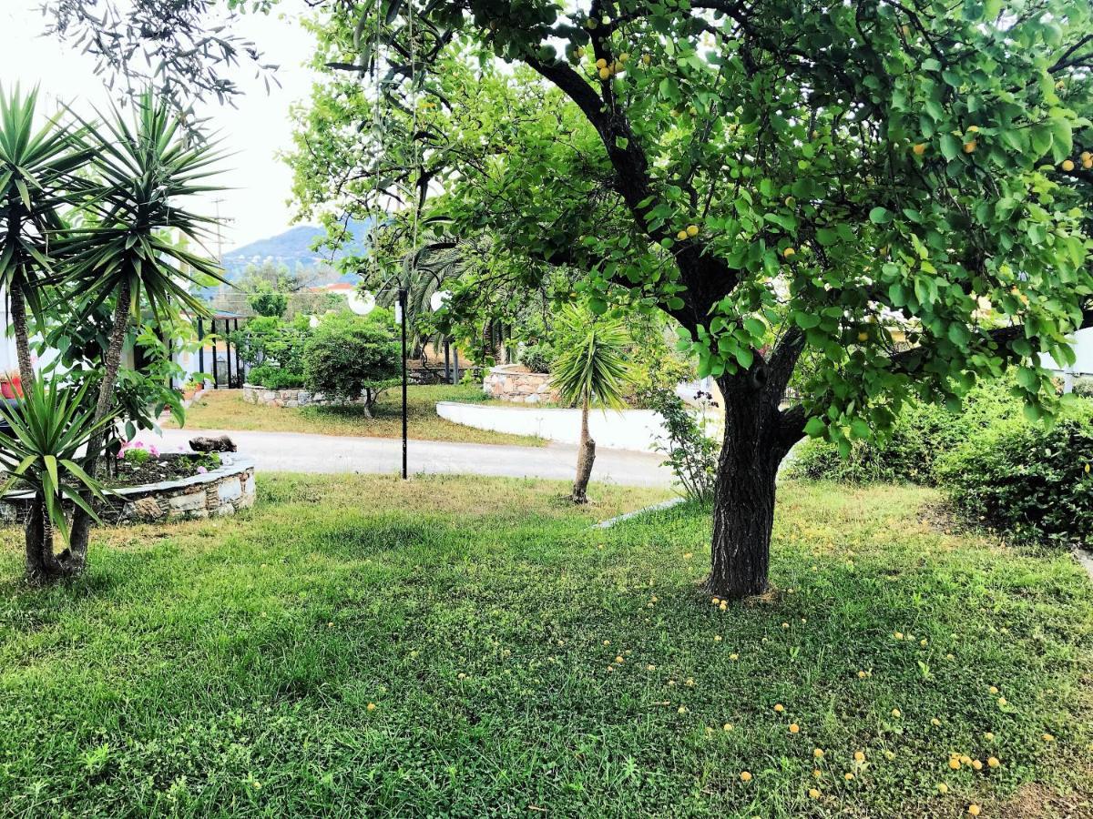 Pansion Episkopi Studios Szkópelosz Kültér fotó