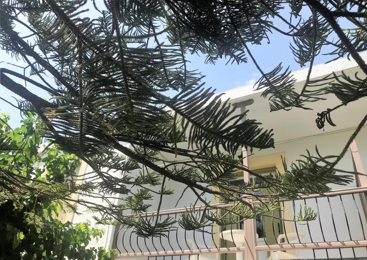Pansion Episkopi Studios Szkópelosz Kültér fotó