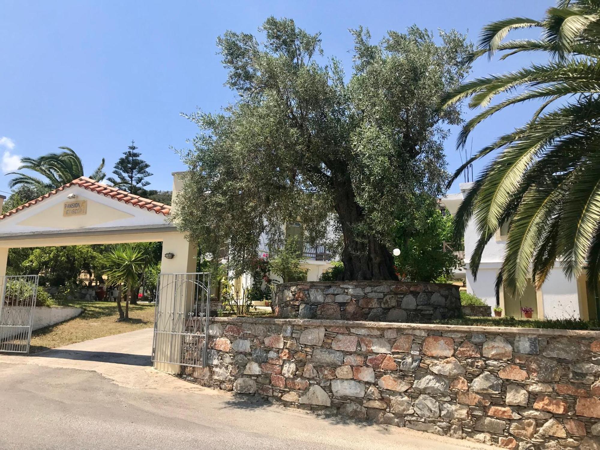 Pansion Episkopi Studios Szkópelosz Kültér fotó